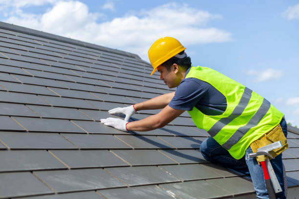 Best Metal Roofing Contractor  in Frisco City, AL