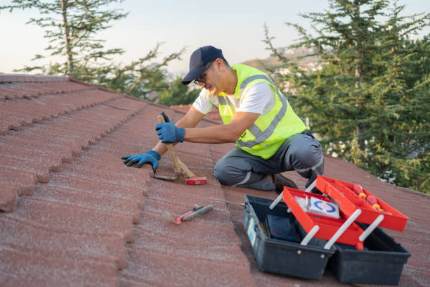 Best Storm Damage Roof Repair  in Frisco City, AL
